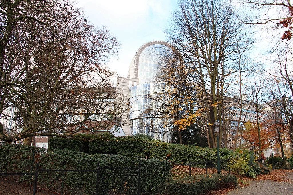 Bryssel 28 november - 1 december 2012 (14)